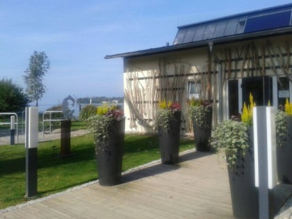 Foto: Hege Strand 3  